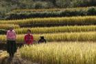 Stage - PHOTO au NORD VIETNAM